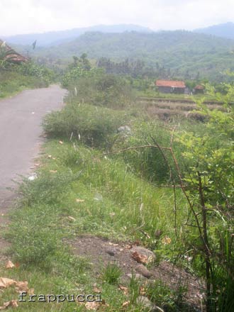 d0056263_020342.jpg