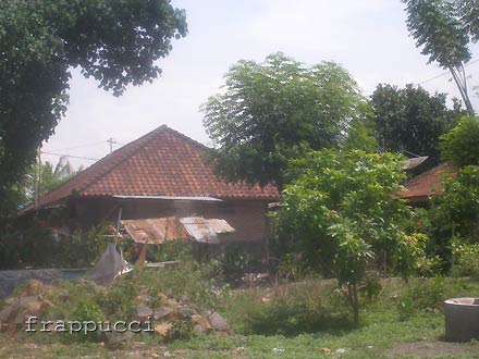 d0056263_022225.jpg