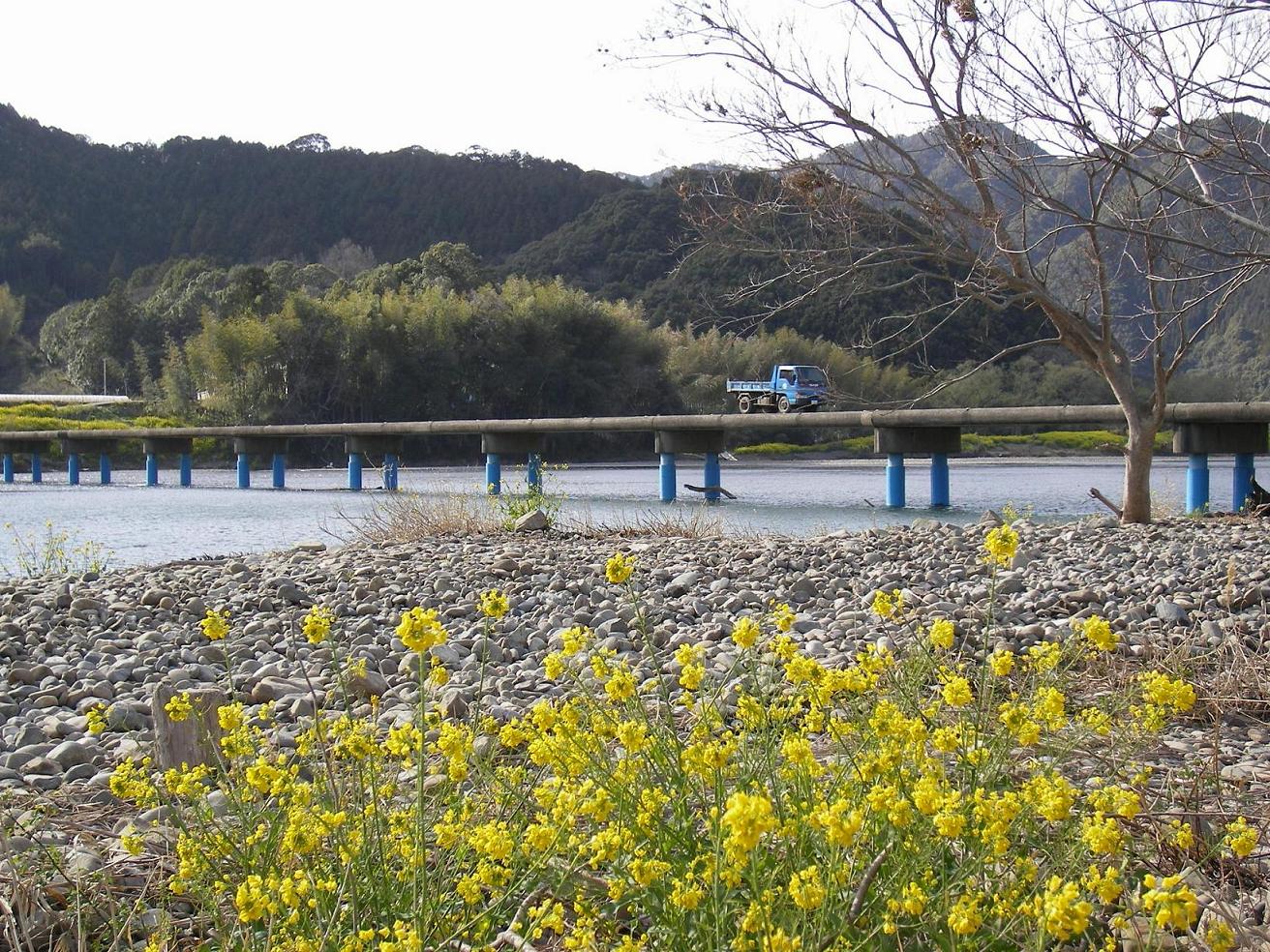 c0164364_15239.jpg