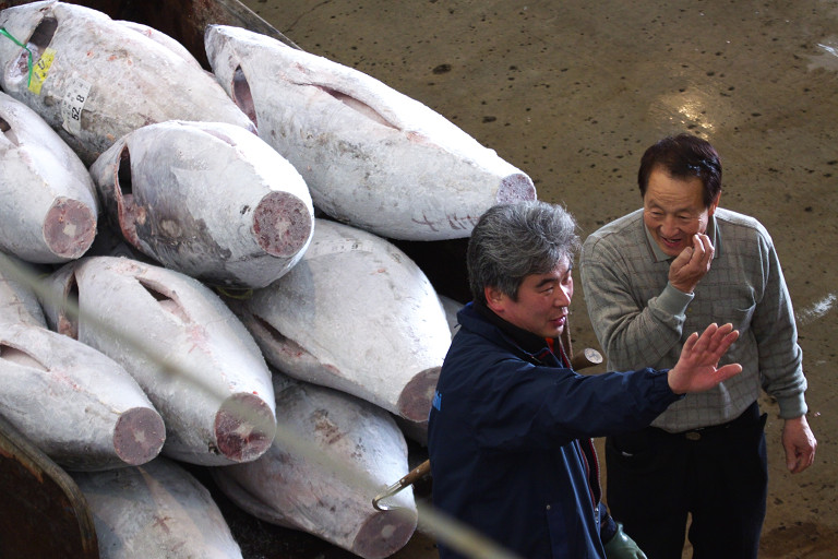 魚の街散策（２月２１日）_c0057265_1352887.jpg