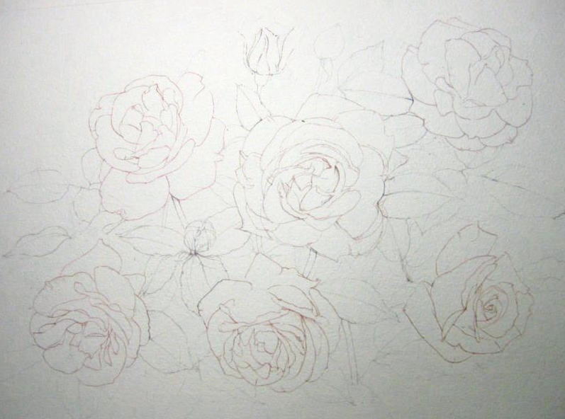 薔薇を描く （その１）_f0006171_9522756.jpg