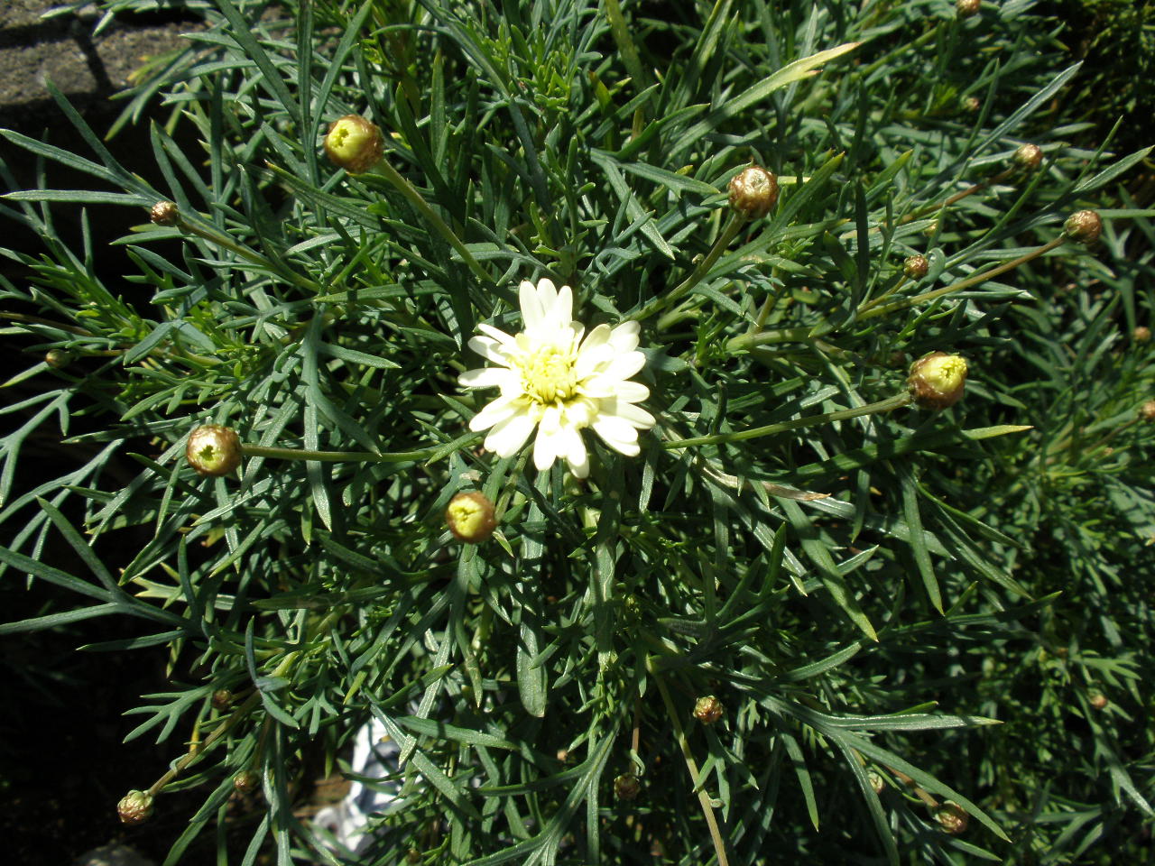 b0157276_221165.jpg