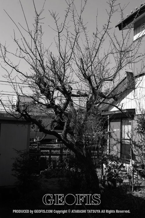 旧中山道界隈 さいたま市_b0007284_1832220.jpg