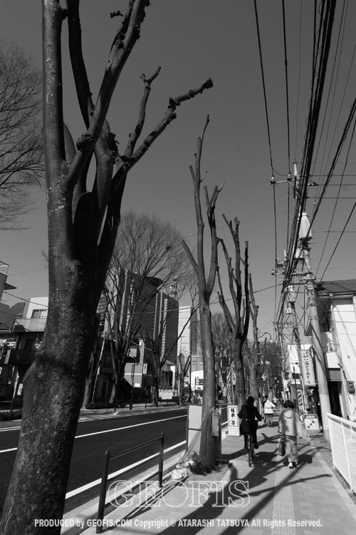 旧中山道界隈 さいたま市_b0007284_1842745.jpg