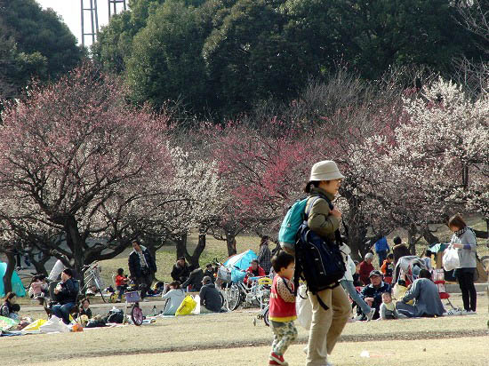 この野鳥の名前は？（所沢航空公園）_f0030085_1813443.jpg