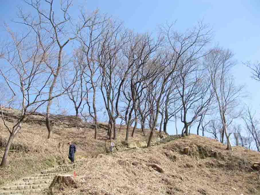 六甲　保久良山～金鳥山～八幡谷～岡本梅公園その1_c0080390_1847912.jpg