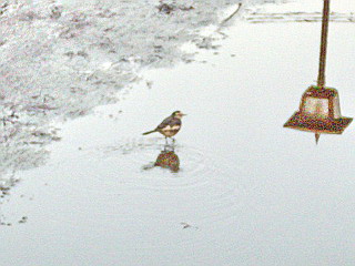 c0138198_17443375.jpg