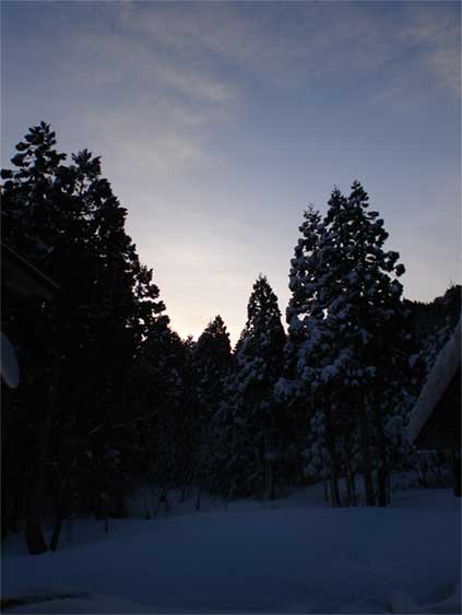 a0061599_6572028.jpg