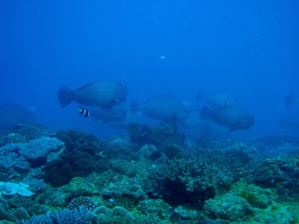 e0023100_23305434.jpg