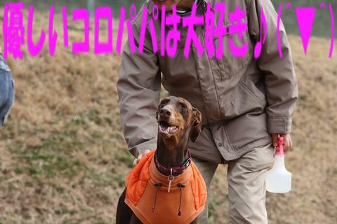 e0100007_2230986.jpg