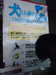 b0085408_20353157.jpg