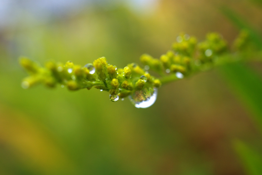 雨、憂鬱_b0134013_23352855.jpg