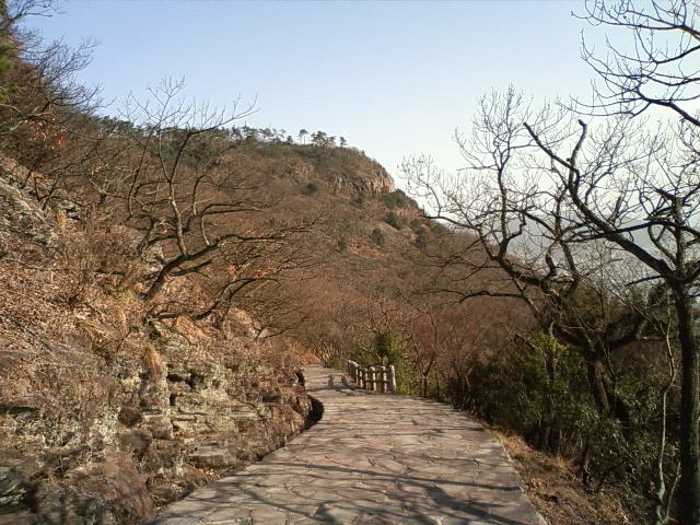 b0143214_12723.jpg