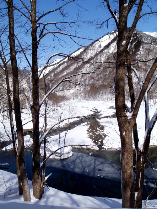 c0177814_1165190.jpg