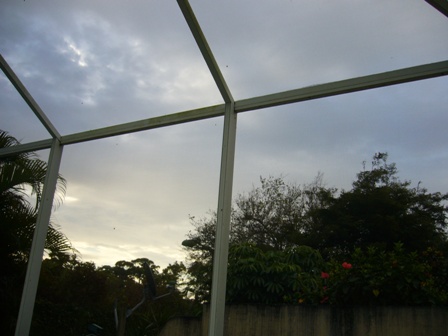 e0049015_21505612.jpg