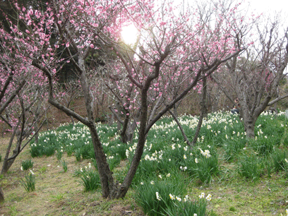 オトナツアー　〜履き倒れの町で食い倒れるの巻〜_b0023820_2292066.gif