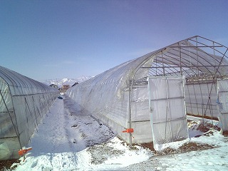 f0032130_11241461.jpg