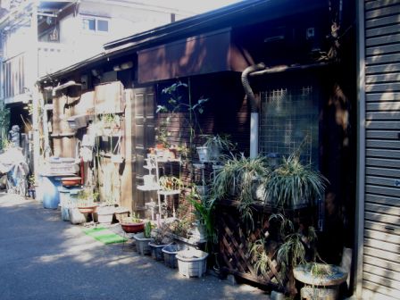 c0195134_1131448.jpg