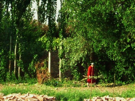 c0164345_10074.jpg