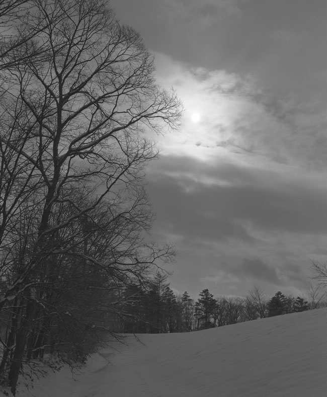 c0162846_121267.jpg