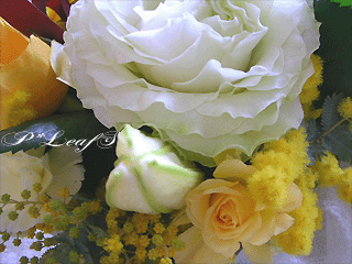 c0176651_1683180.gif