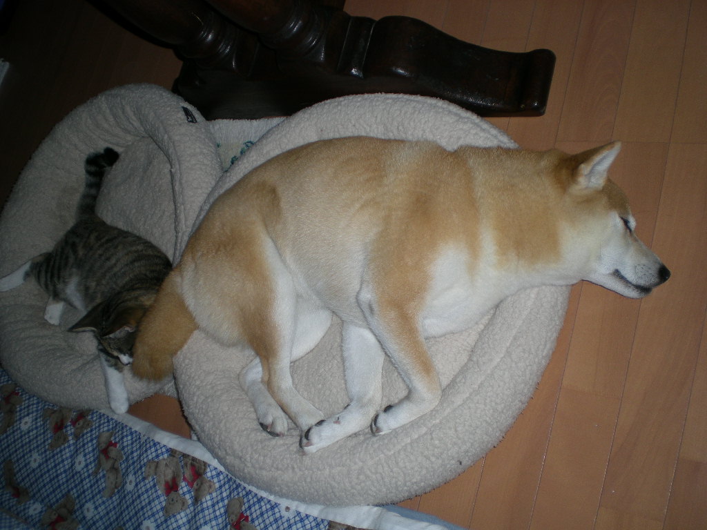 2009年2月23日(月)父の33回忌!_f0060461_12331458.jpg