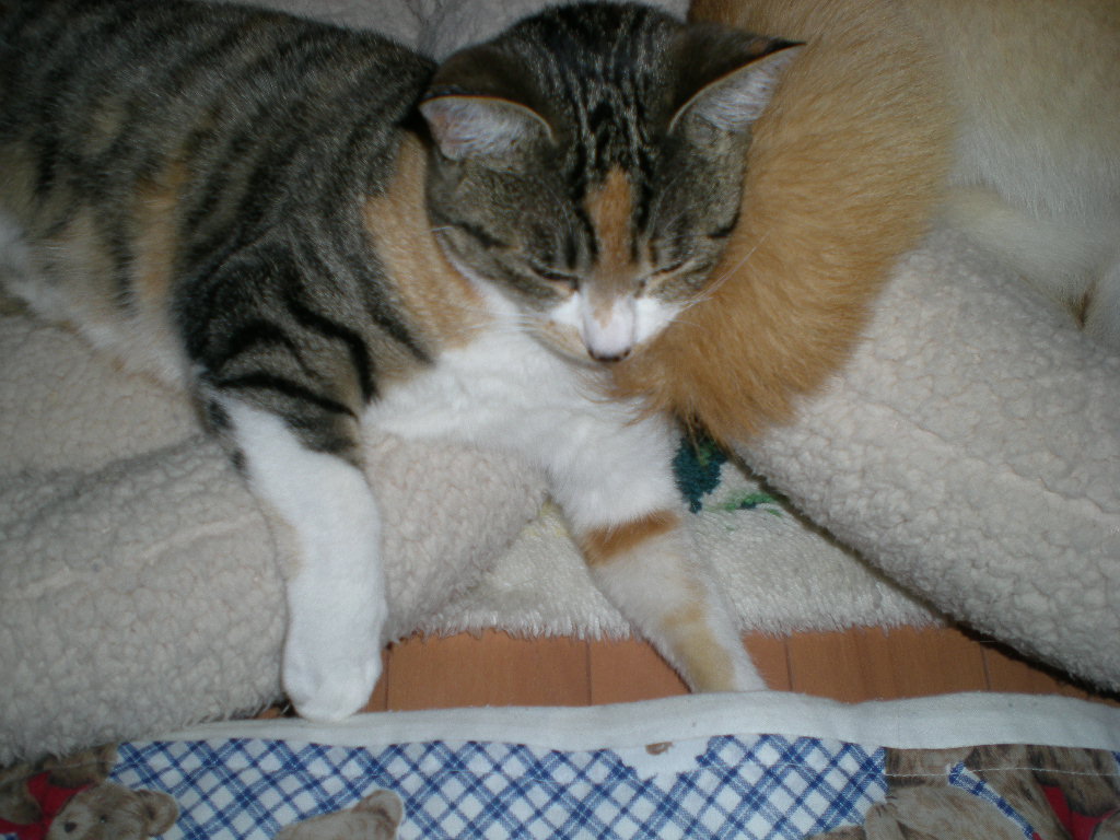 2009年2月23日(月)父の33回忌!_f0060461_12334013.jpg