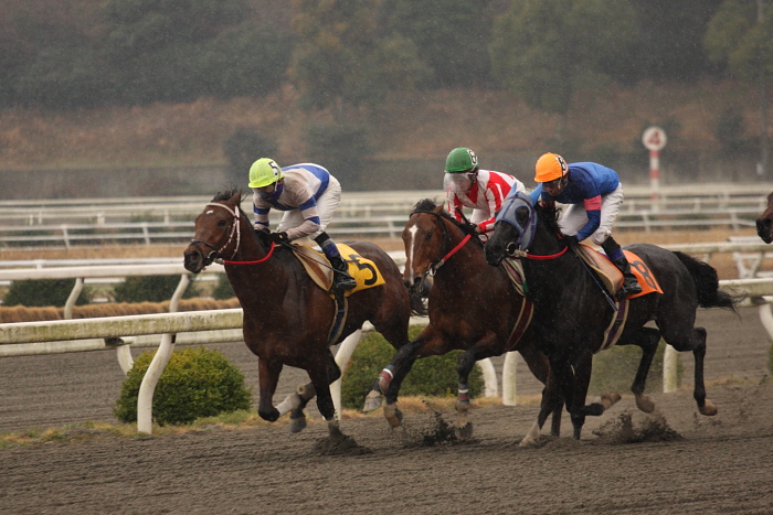 宮川浩一騎手、通算勝利100勝達成！！ _a0077663_2025762.jpg