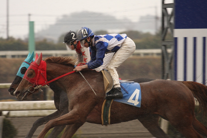 宮川浩一騎手、通算勝利100勝達成！！ _a0077663_2032612.jpg