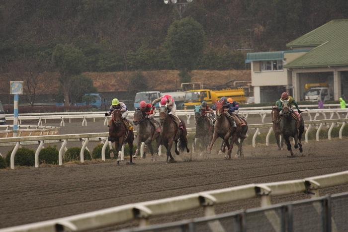 宮川浩一騎手、通算勝利100勝達成！！ _a0077663_2033576.jpg
