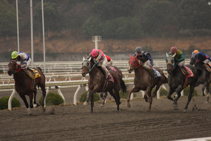 宮川浩一騎手、通算勝利100勝達成！！ _a0077663_2034375.jpg