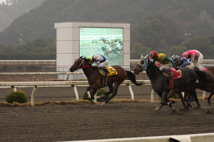 宮川浩一騎手、通算勝利100勝達成!! _a0077663_2035592.jpg