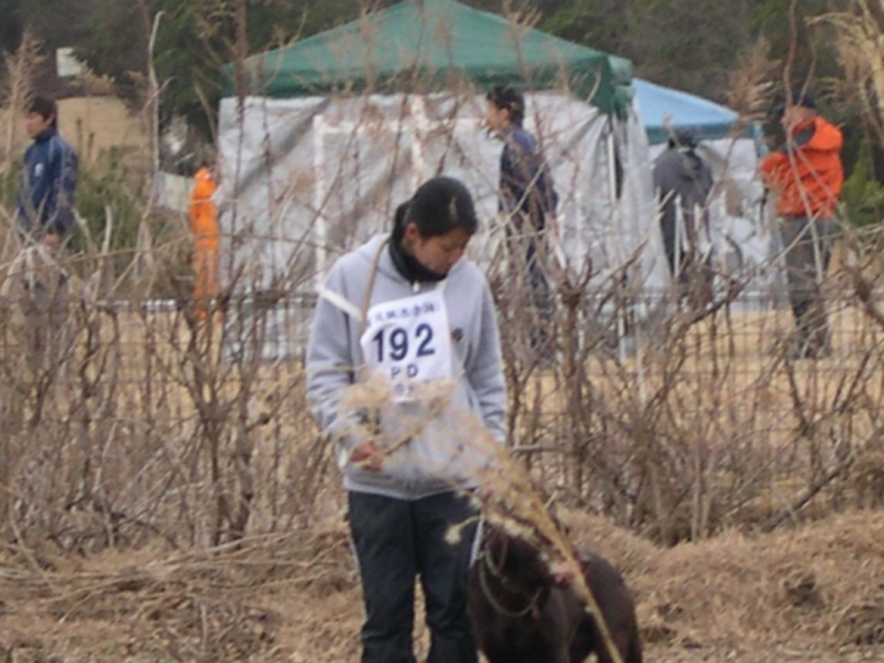 ワンちゃんの競技会_f0081071_19232055.jpg