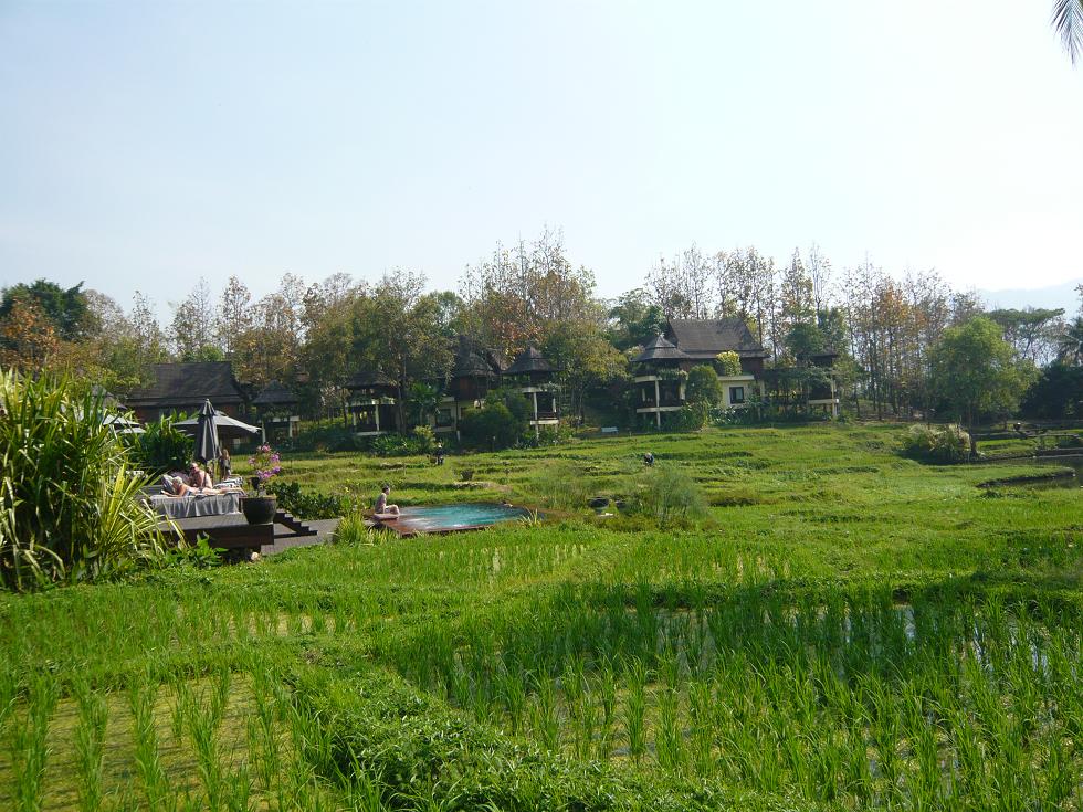 f0178278_10234775.jpg
