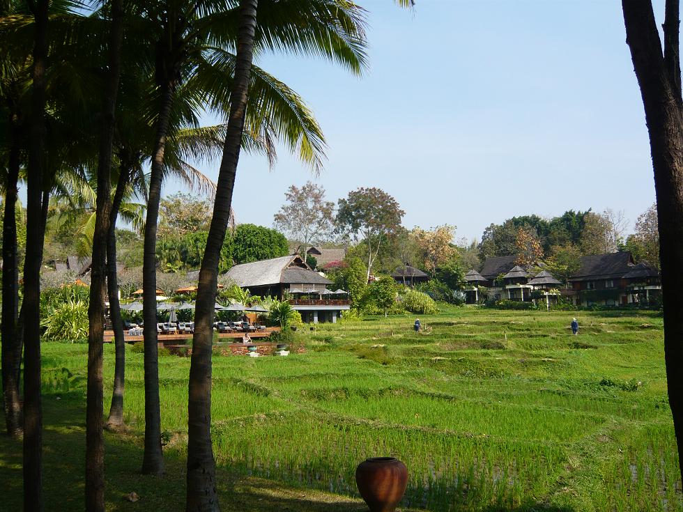 f0178278_10275824.jpg
