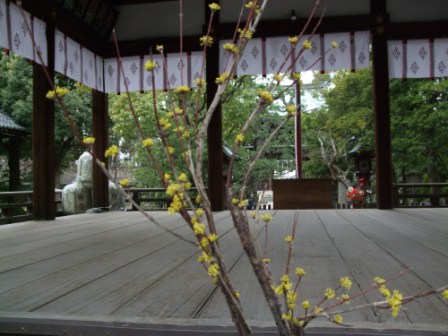 京都魔界探訪①_e0138081_9114062.jpg