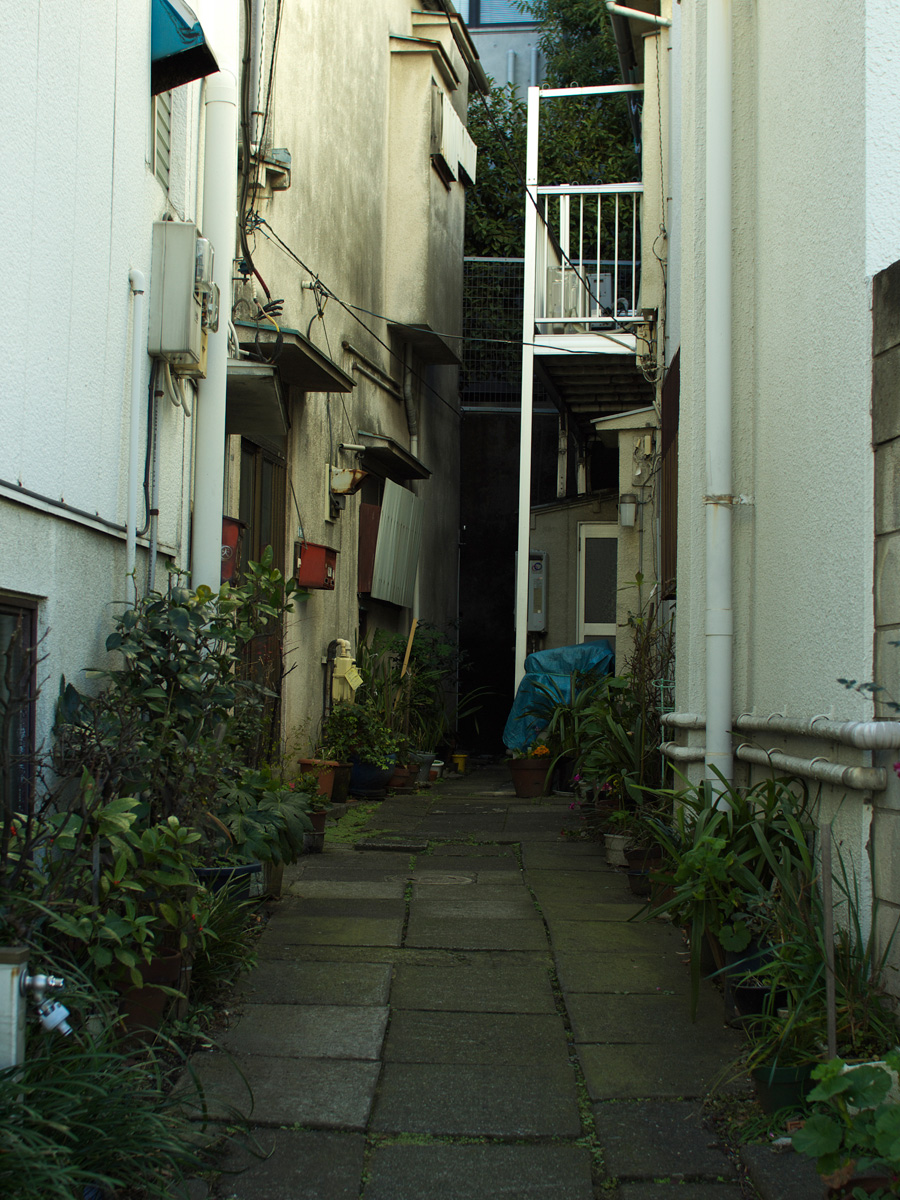 f0121181_2226319.jpg