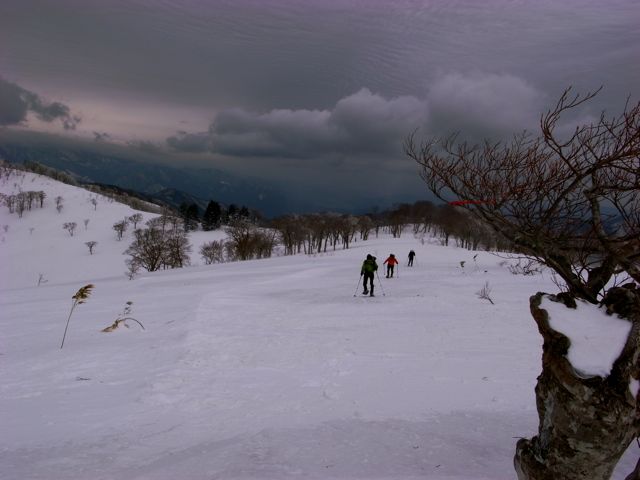 e0129083_203163.jpg