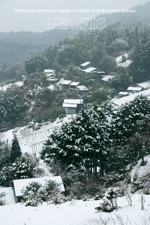 b0007284_19251245.jpg