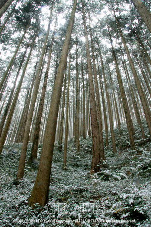b0007284_19252741.jpg