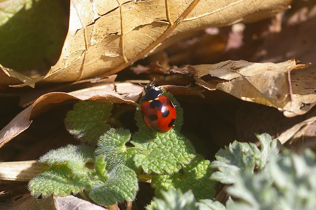 e0070891_18172243.jpg