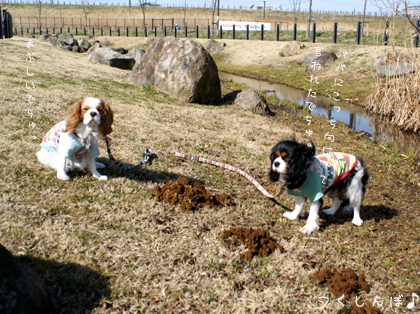 パパと公園へ♪_b0154296_23527.jpg