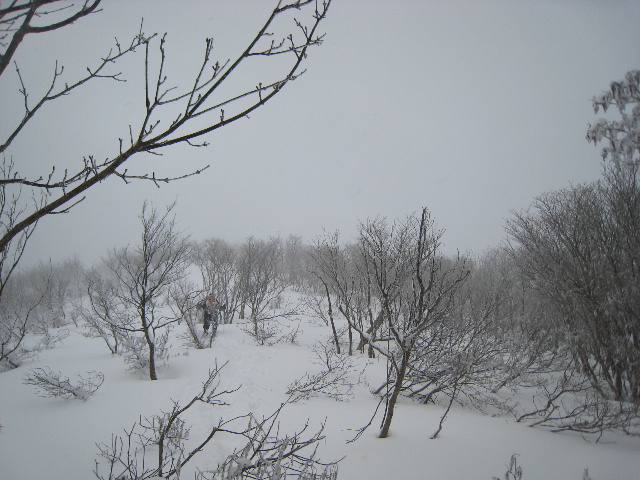 e0111396_05391.jpg
