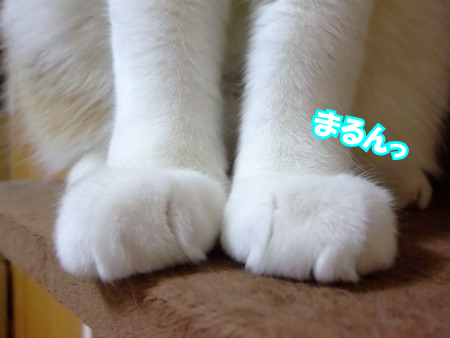 b0139303_15021.jpg