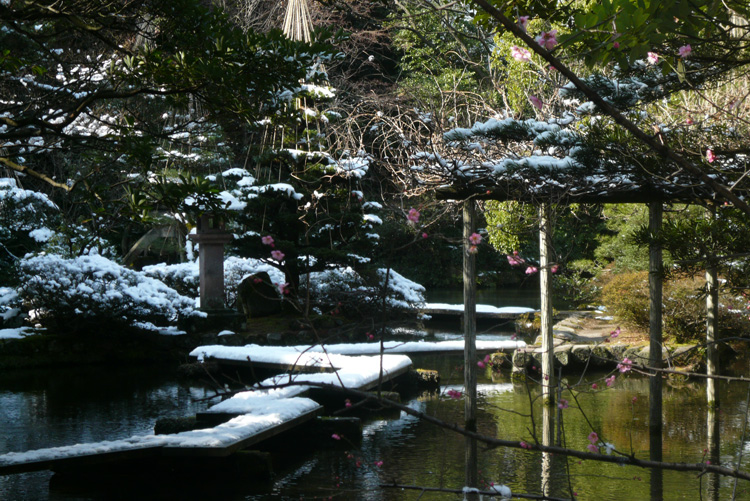 b0158403_8573622.jpg