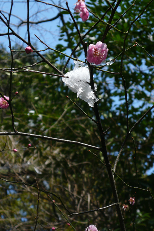 b0158403_857631.jpg