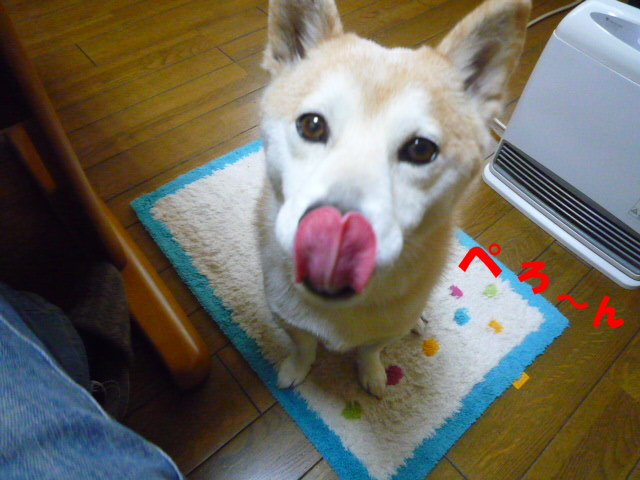 e0131506_23533172.jpg