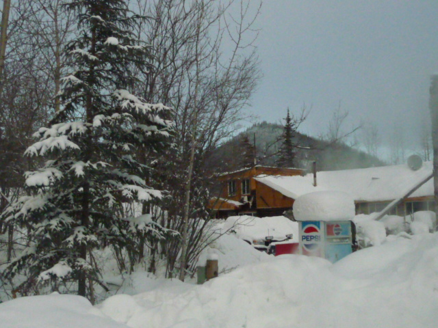 d0143907_47852.jpg