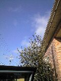 b0100510_2202222.jpg