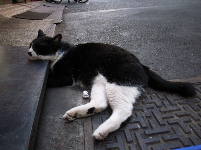 c0071611_9411564.jpg